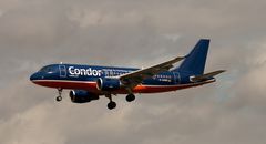 Condor Airbus A319-112