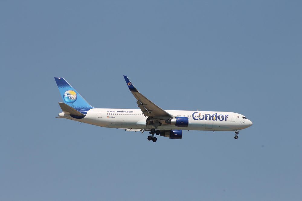 Condor Anflug auf Airport Frankfurt/Main