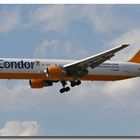 Condor