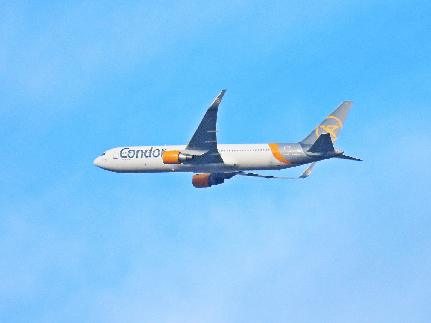 Condor