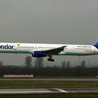 Condor