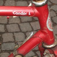 Condor L.