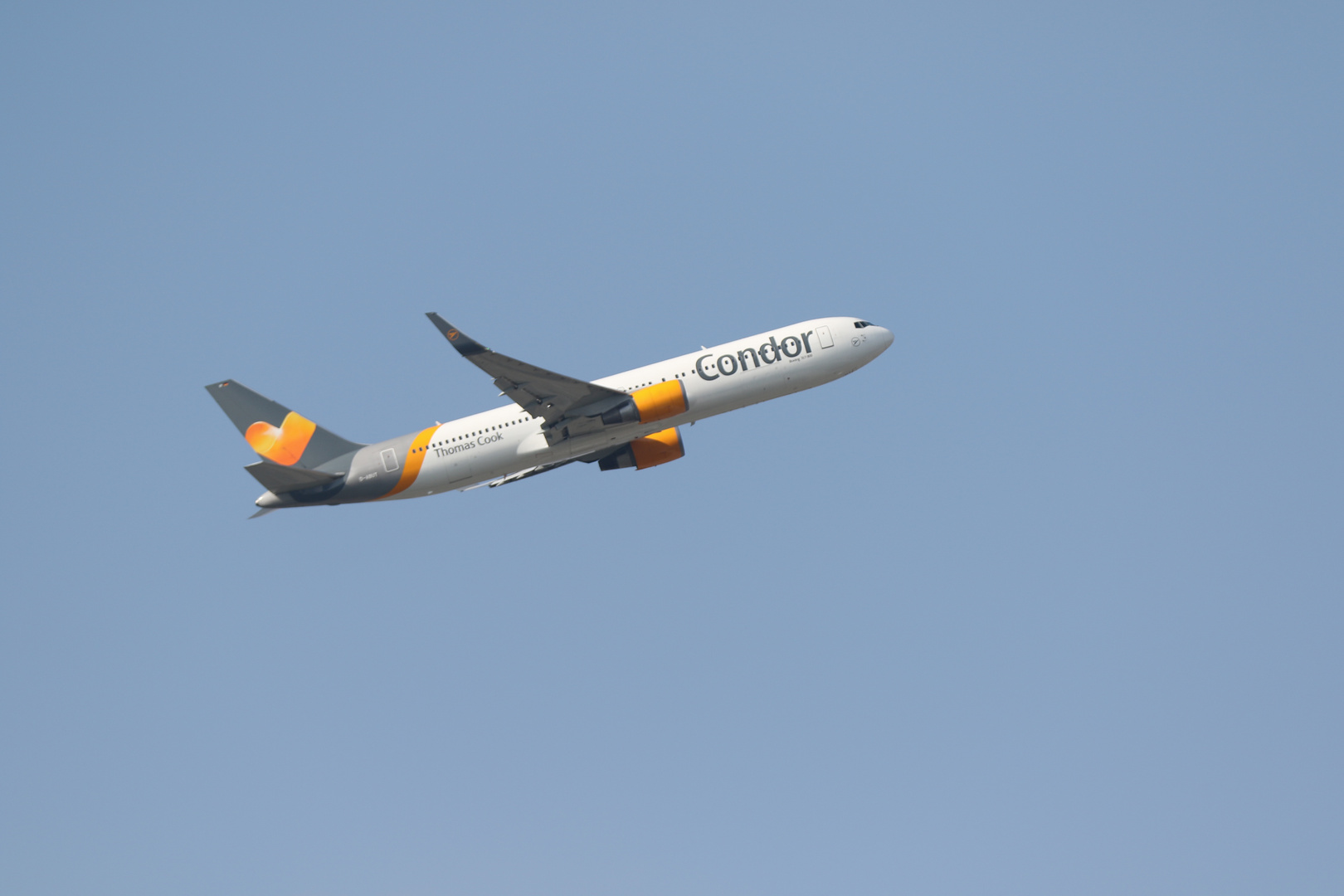 Condor Thomas Cook