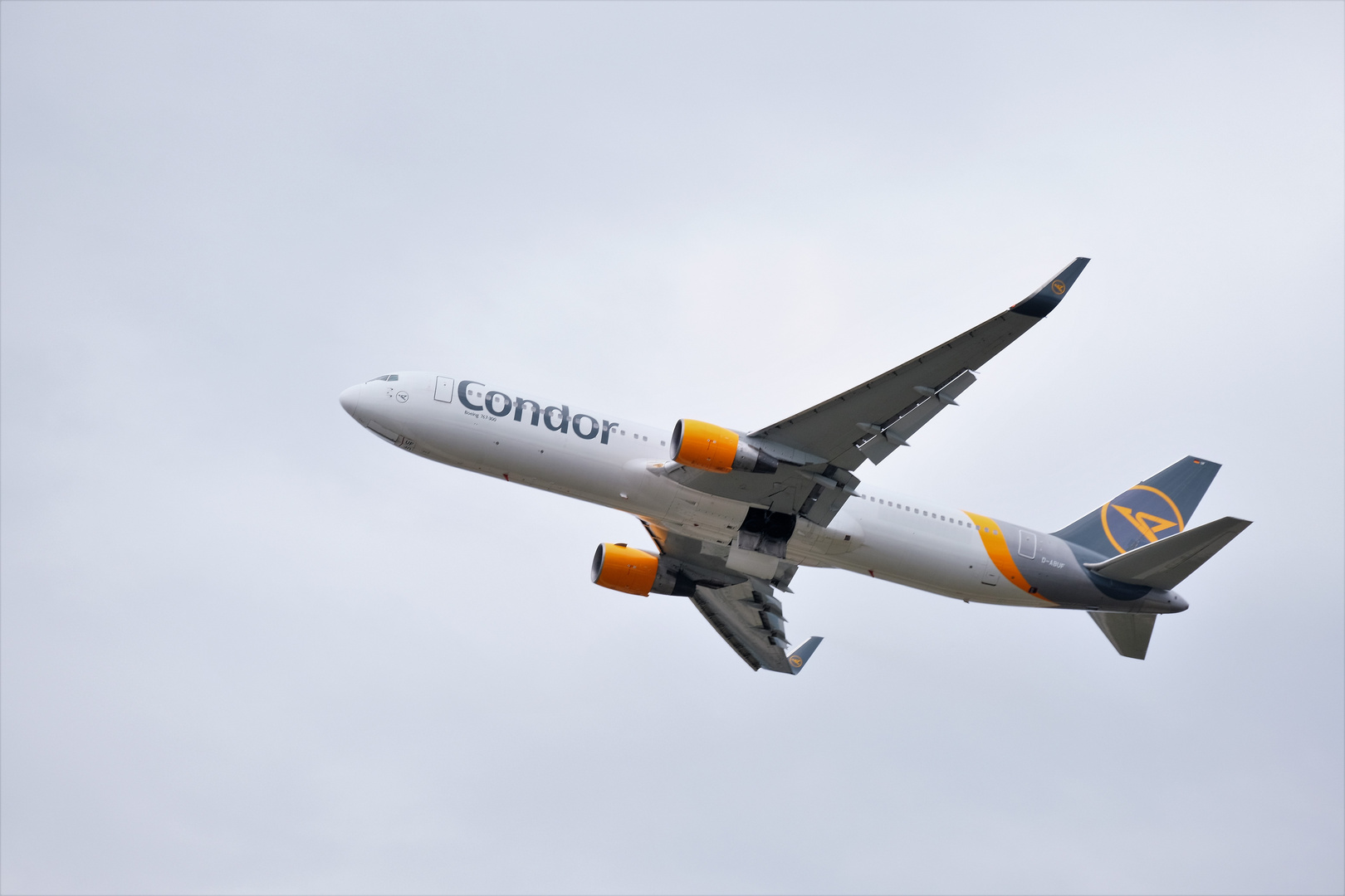 Condor1