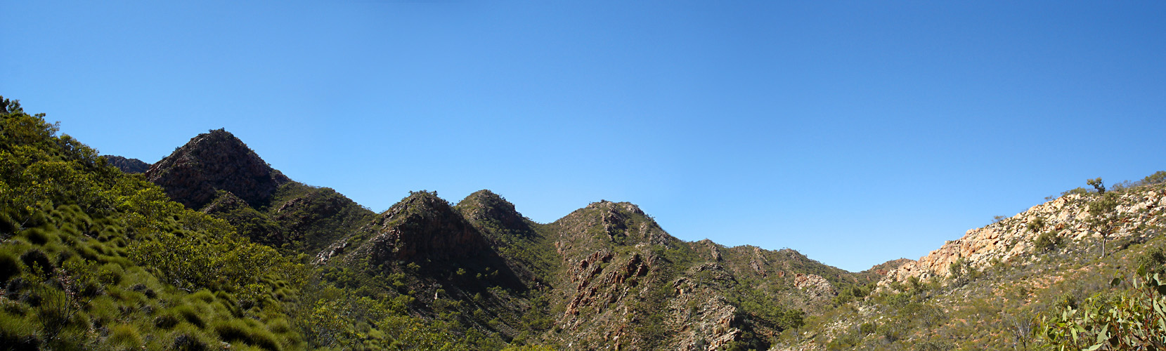 Cone family, Panorama