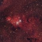 Cone Nebula, Foxfur, NGC2264