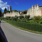 Conegliano Castello