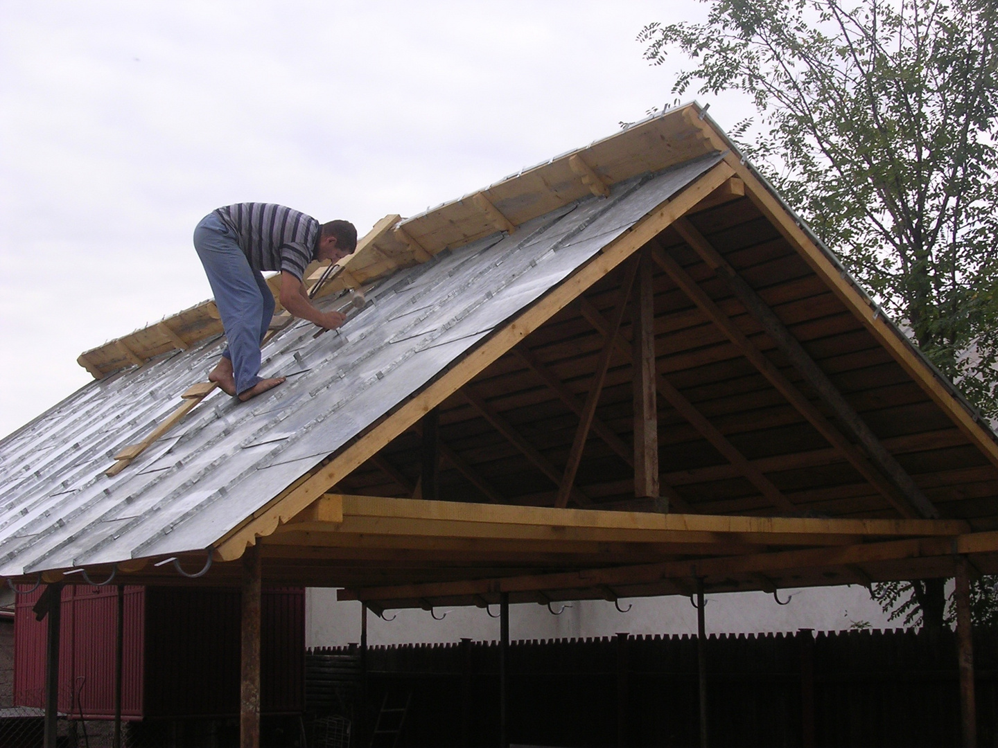 Coneliu sul tetto (Romania, 2008)