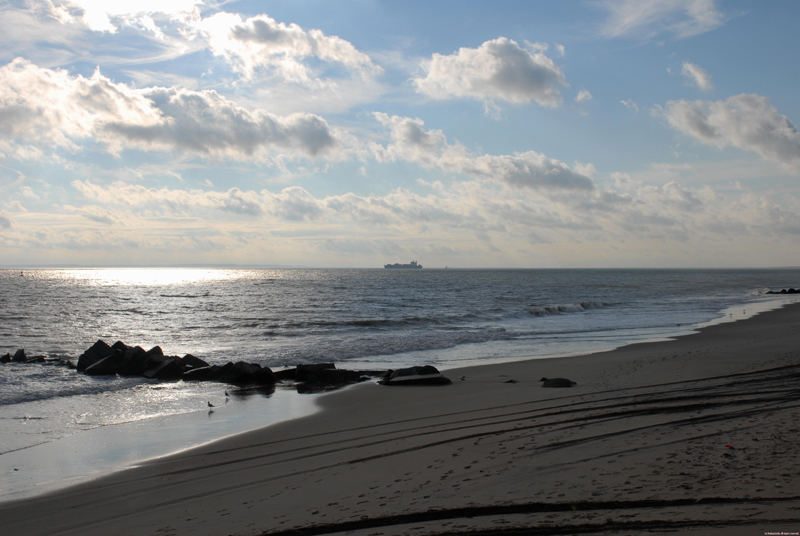 Coney Island