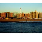 Coney Island Baby !