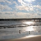 Coney Island Pier