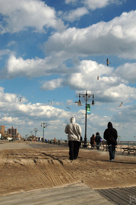 coney island. VII