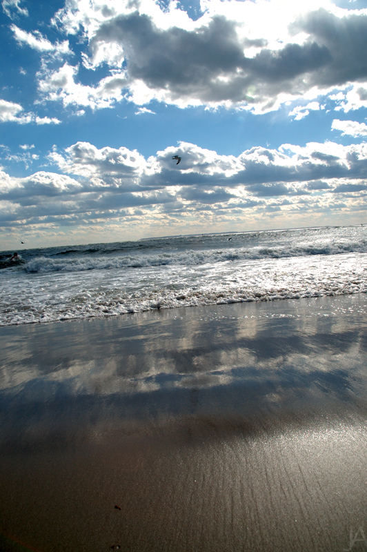 coney island. VIII