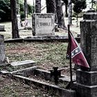 Confederate Sons