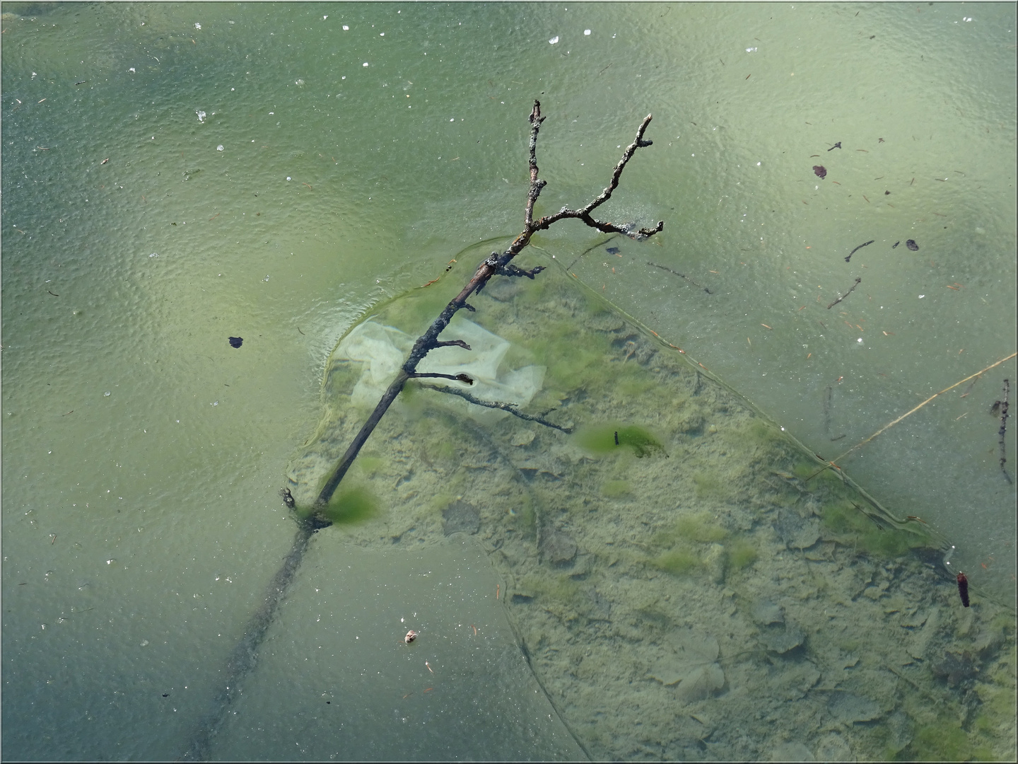 ...Confiné....dans la glace d'un lac gelé...