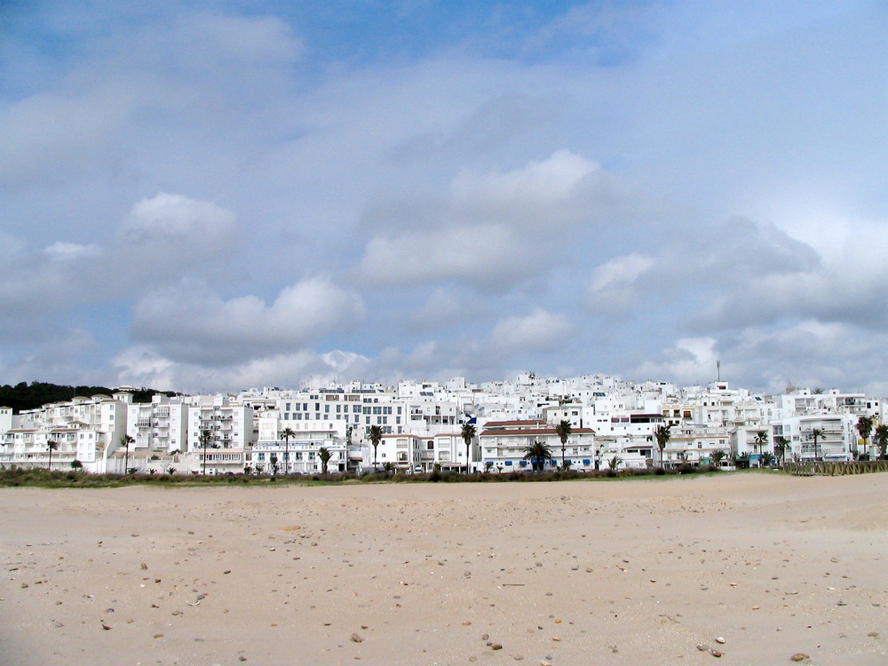 Conil