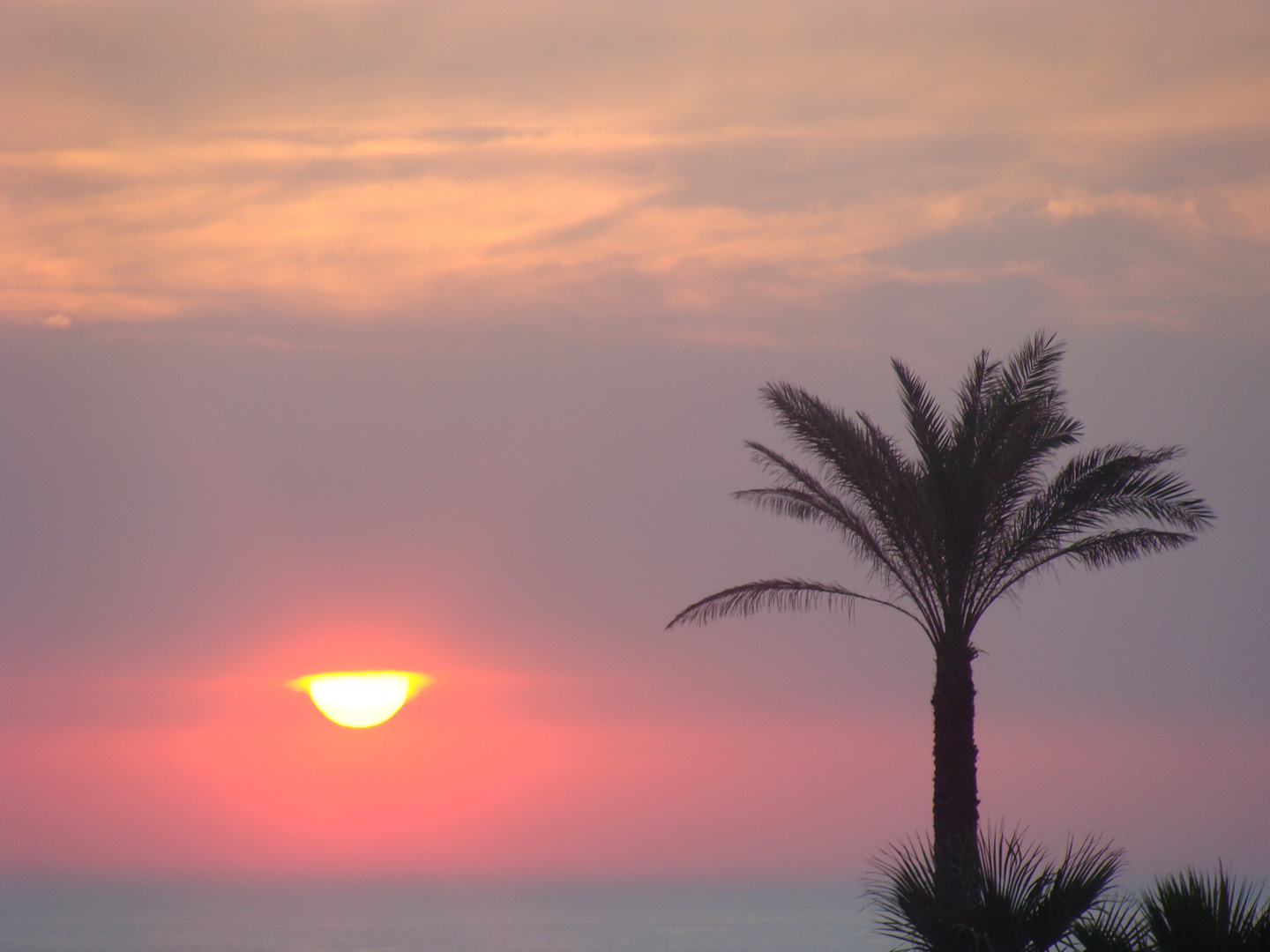 CONIL ATARDECER