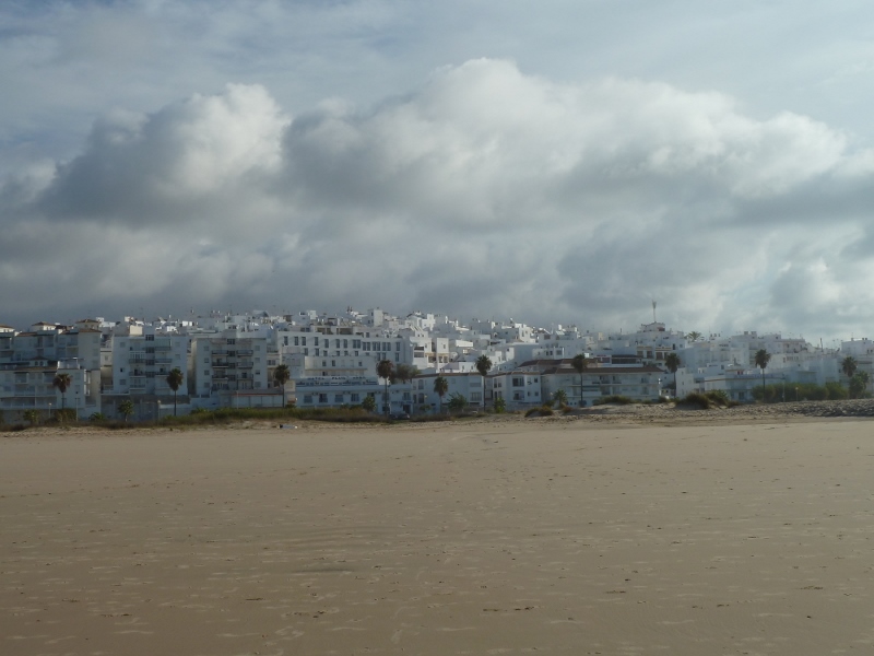 Conil