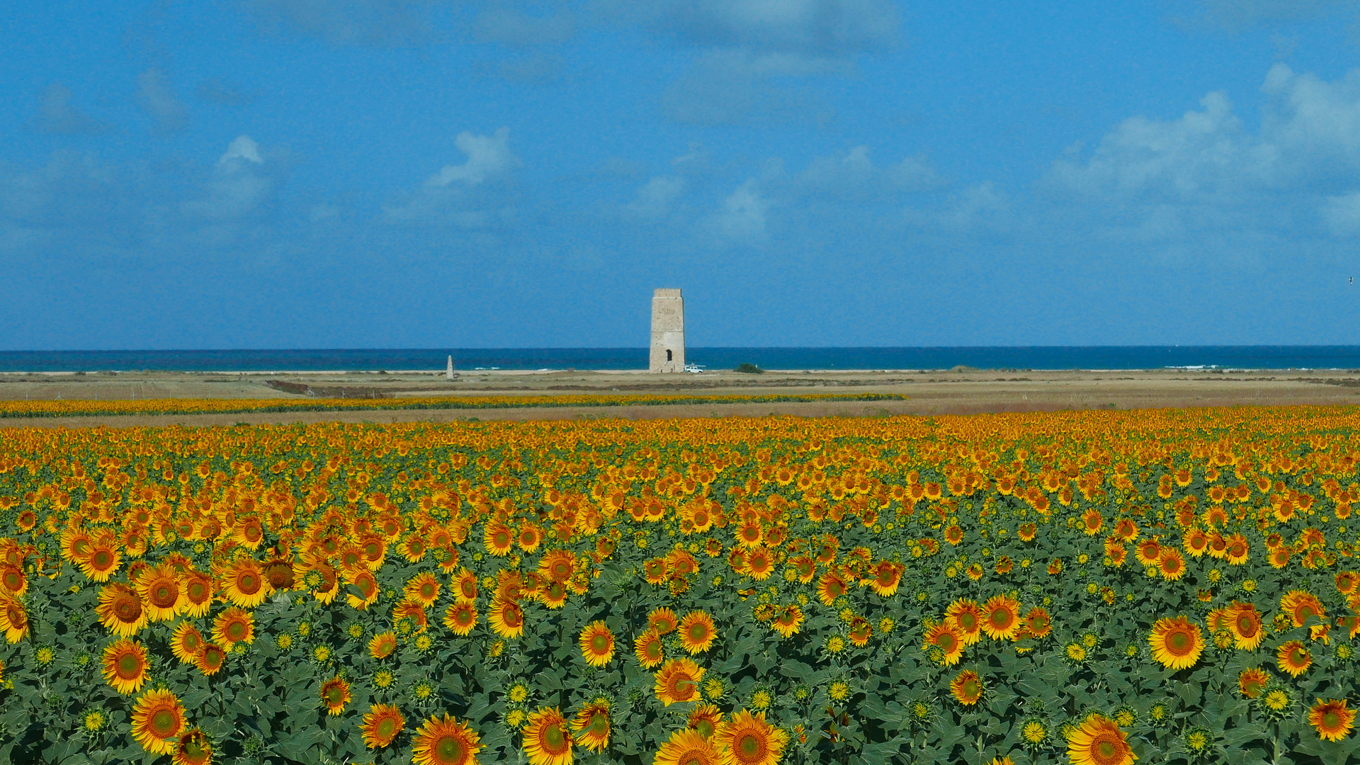 Conil de la Fontera 2016