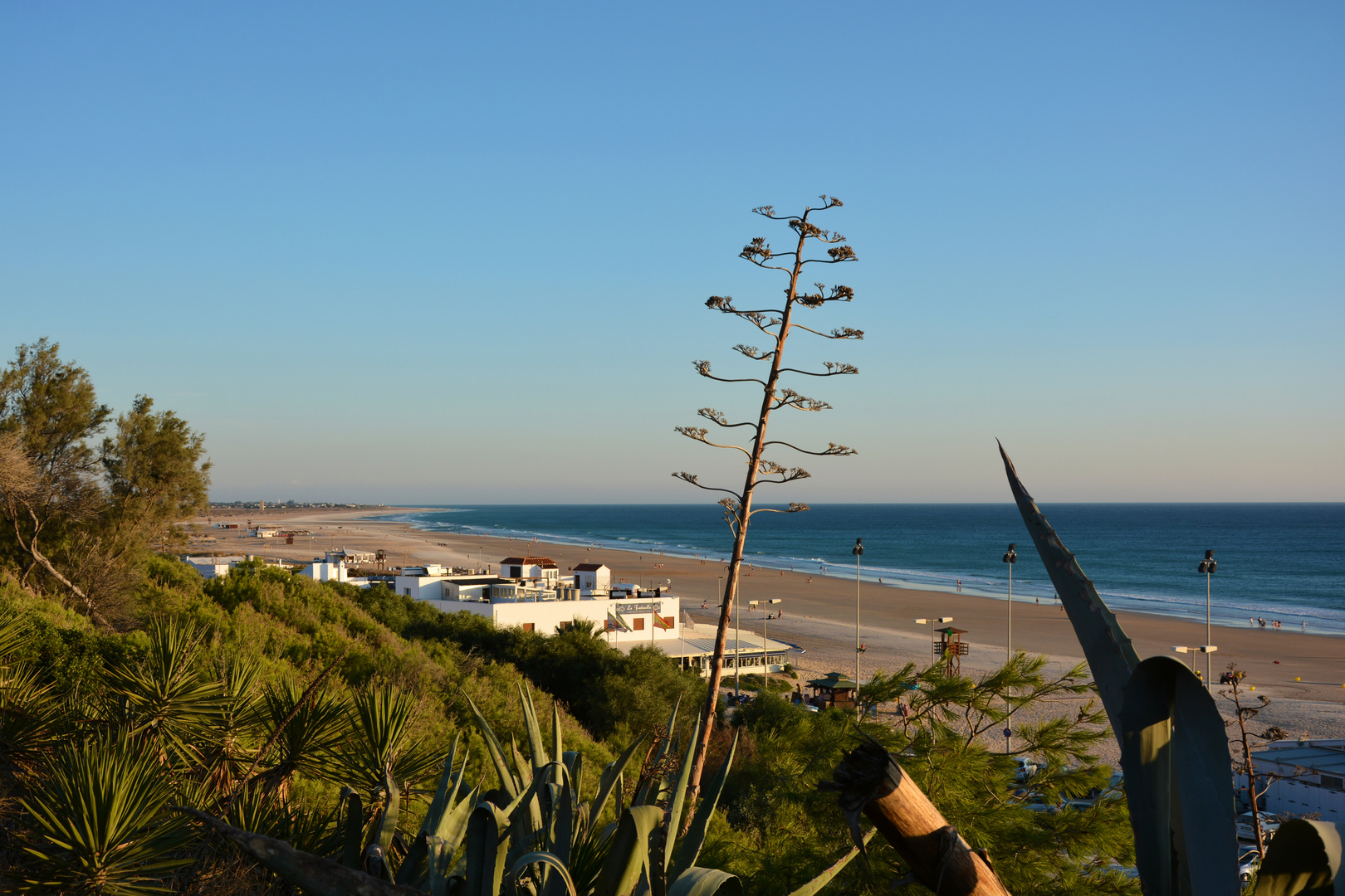 Conil de la frontera - 2016 - 2