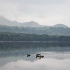 Coniston Water