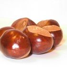 conkers