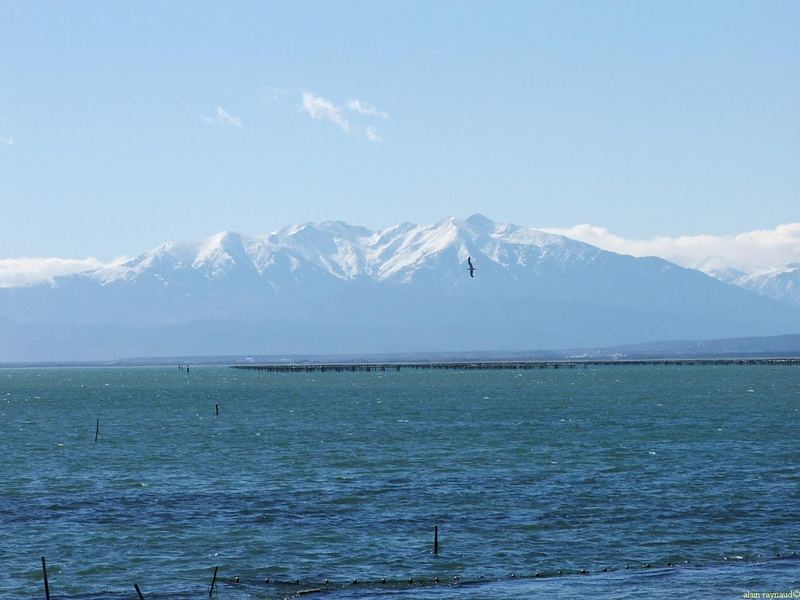 Connaissez-vous "le canigou" !