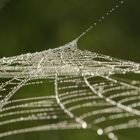 connected III