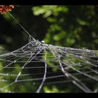 connected IIII