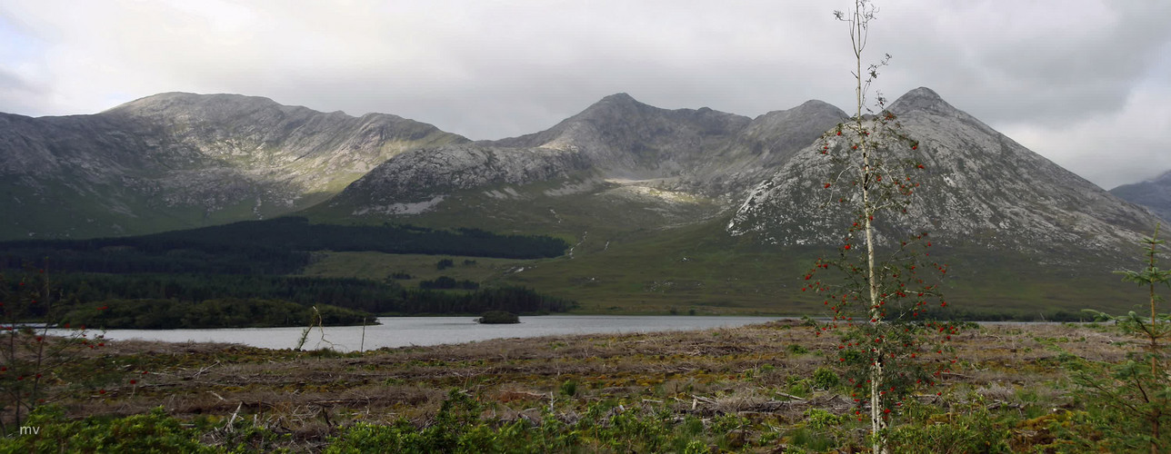 Connemara