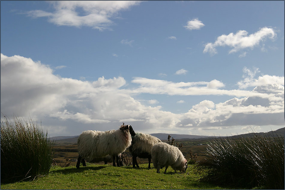 Connemara