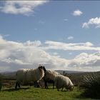 Connemara