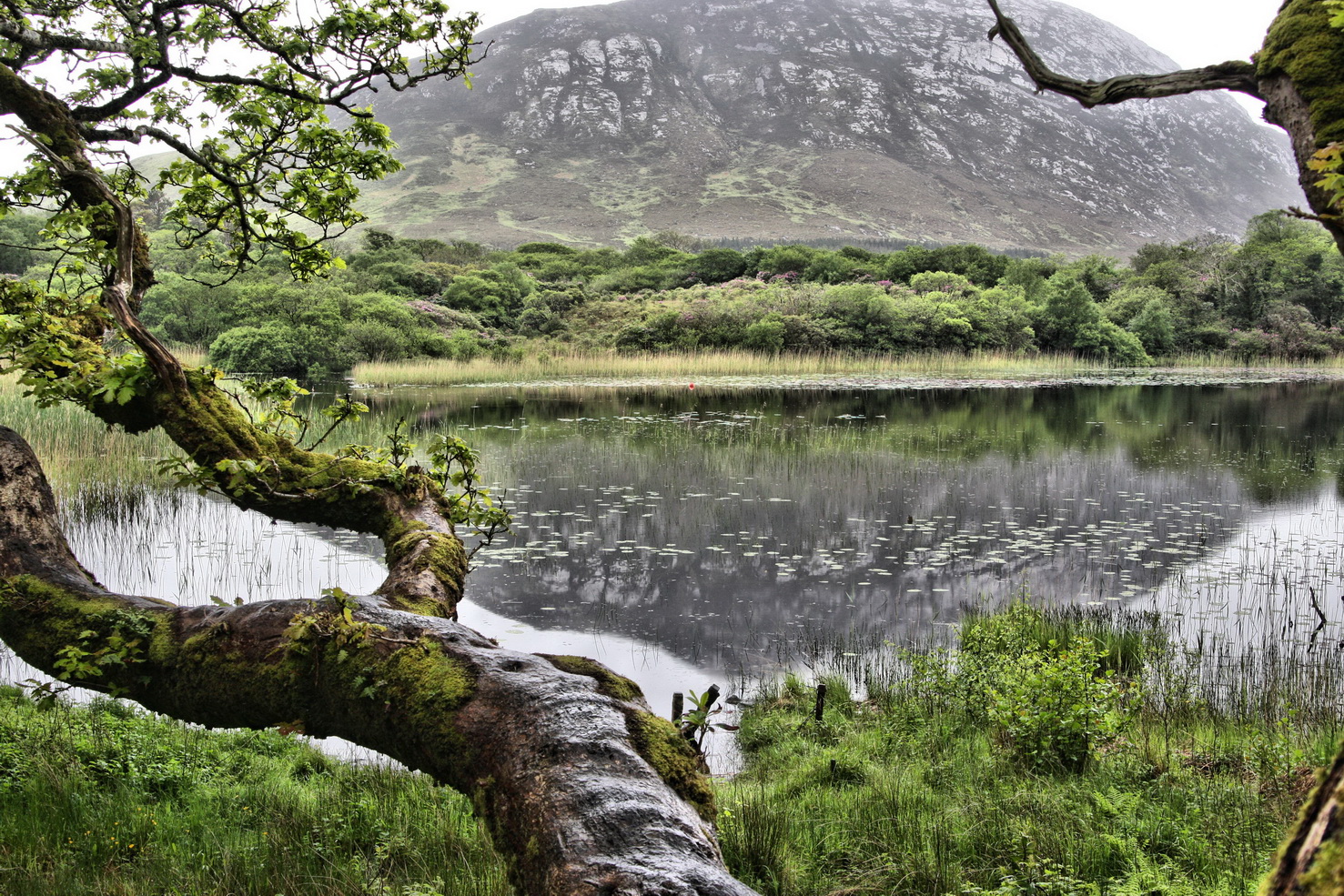 Connemara