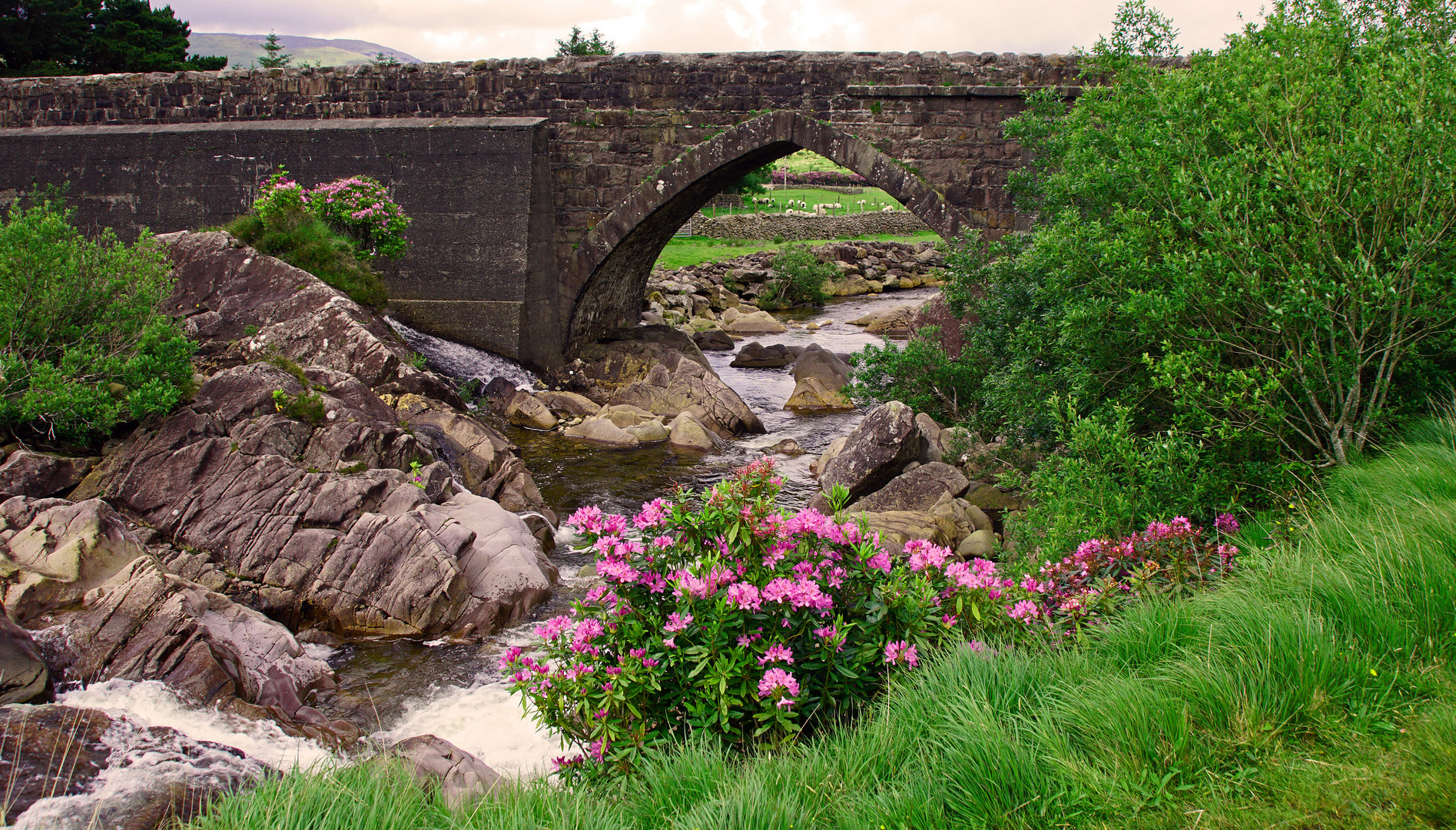 Connemara Bridge