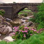 Connemara Bridge