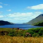 Connemara Coast