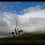 Connemara