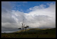 Connemara