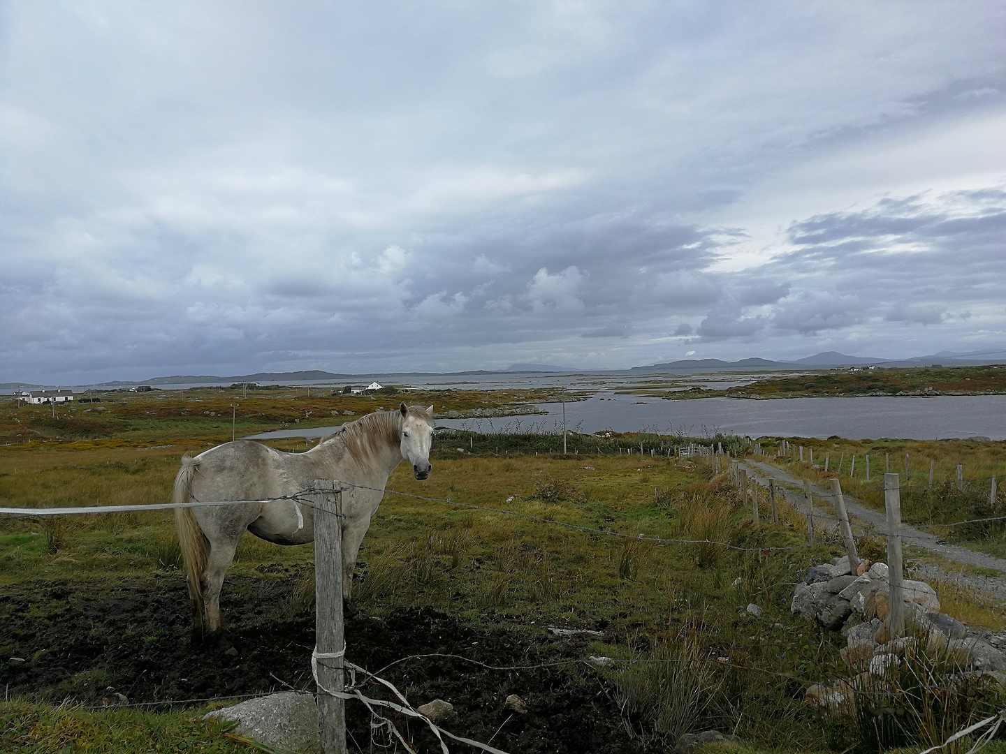 Connemara