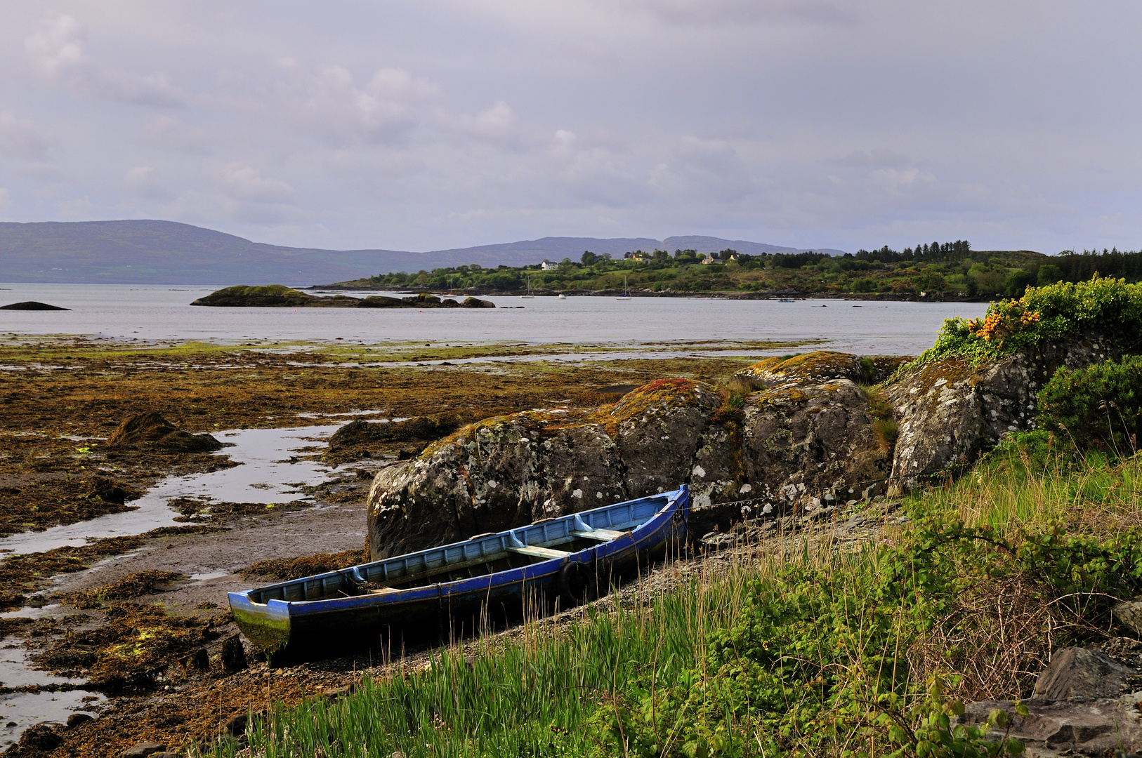 Connemara