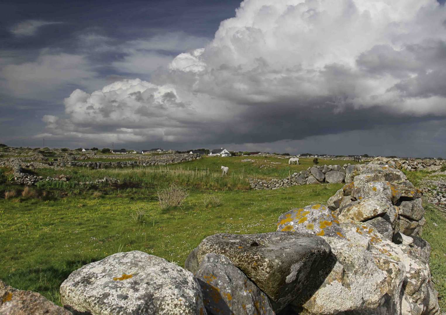 Connemara Galway