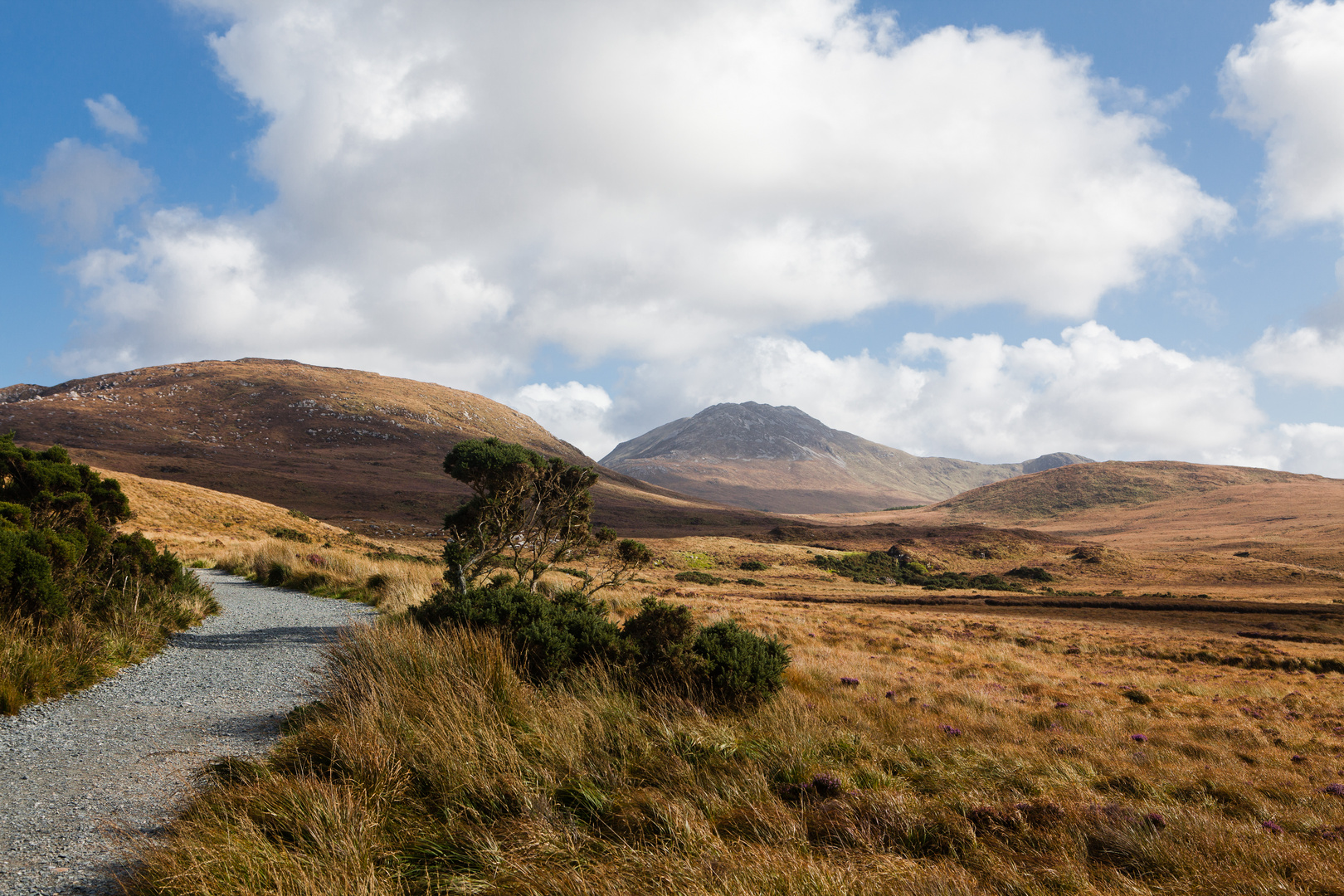 Connemara Hills