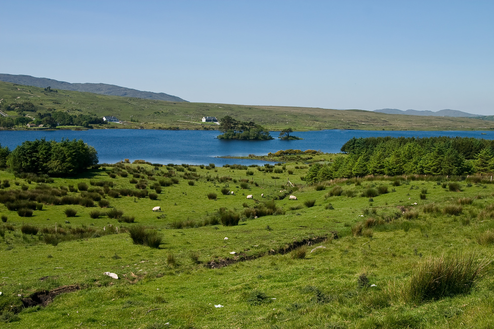 [ connemara I ]