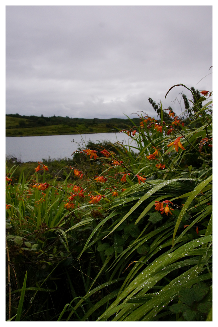 Connemara Impressionen