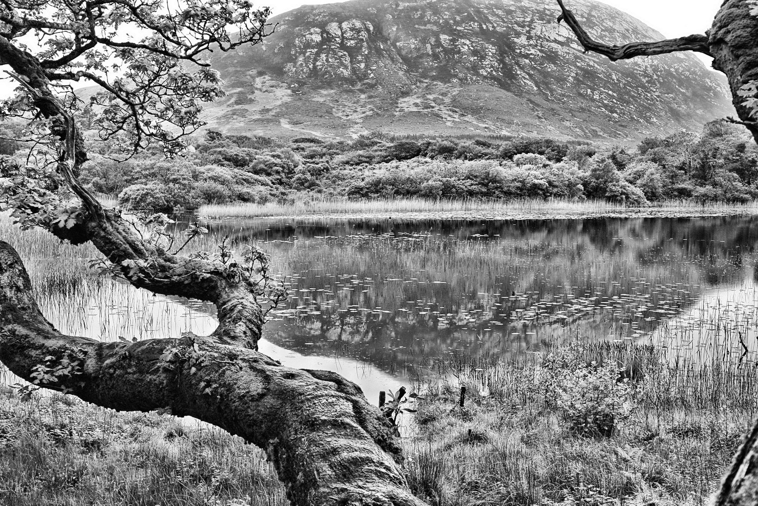 Connemara Irland