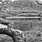 Connemara Irland