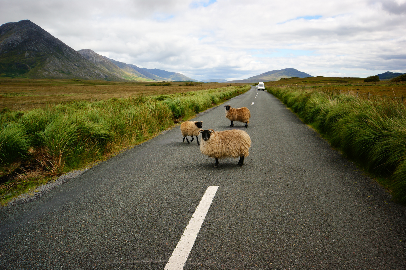 Connemara - Irland