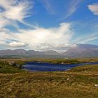 Connemara Moor