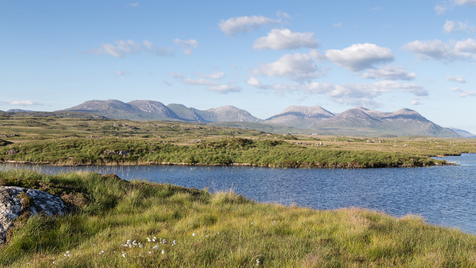 Connemara Moorlandschaft mit den Twelve Bens