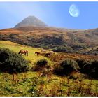 Connemara National Park